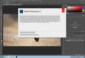 Adobe Photoshop CC 2018 (19.1.6.61161) (x64) [Multi/Ru]