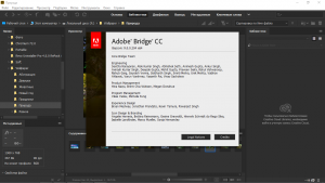 Adobe Bridge 2019 9.1.0.338 RePack by KpoJIuK [Multi/Ru]