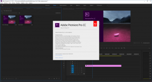 Adobe Premiere Pro CC 2019 (13.1.0.193) Portable by XpucT [Ru/En]