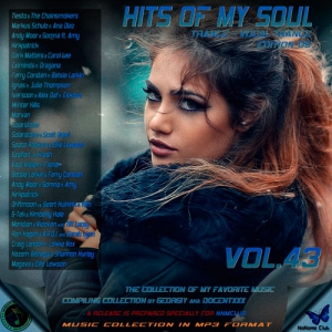 VA - Hits of My Soul Vol. 43