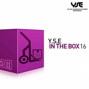 VA - Y.S.E. In The Box Vol.16