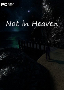 Not in Heaven