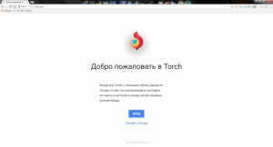 Torch Browser 65.0.0.1617 Portable by FoxxApp [Multi/Ru]