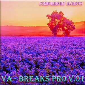VA - Breaks Pro V.01 [Compiled by GvertO]