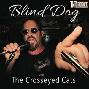 Jeff Vincent - Blind Dog And The Crosseyed Cats
