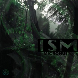  Ism - Micronui