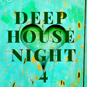 VA - Deep House Night 4