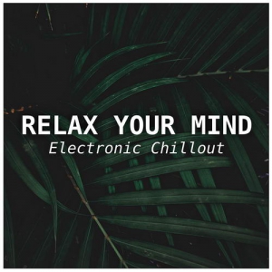 VA - Relax Your Mind - Electronic Chillout