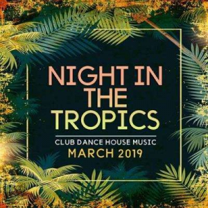 VA - Night In The Tropics