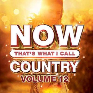 VA - Now That's What I Call Country Vol 12