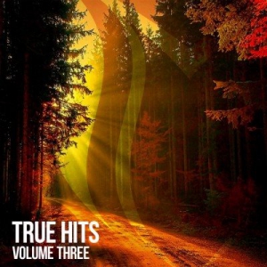 VA - True Hits Vol.3 
