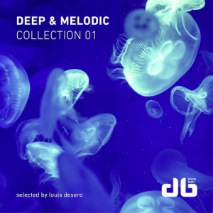 VA - Deep & Melodic Collection 1