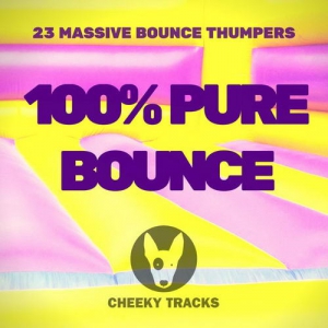 VA - 100 % Pure Bounce