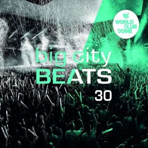 VA - Big City Beats Vol.30