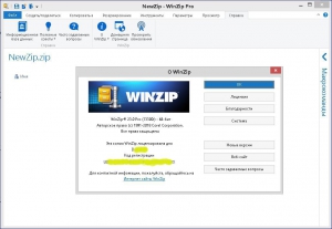 WinZip Pro 23 (13300r) [Multi/Ru]