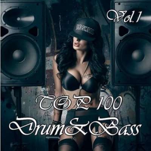 VA - Top 100 Drum & Bass Vol.1