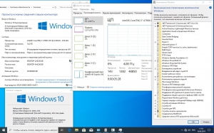 Windows 10 (66in1) Sergei Strelec x86/x64 1909 (build 18363.449) [Ru]
