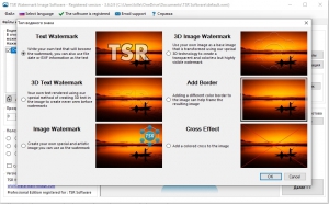 TSR Watermark Image Software Pro 3.6.1.1 RePack (& Portable) by TryRooM [Multi/Ru]