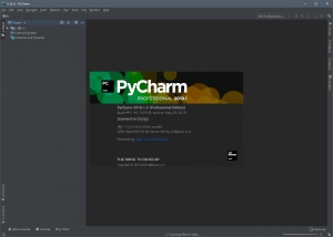 JetBrains PyCharm Professional 2019.3.3 [En]