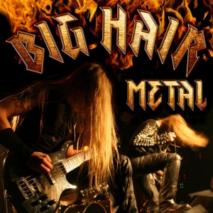 VA - Big Hair Metal
