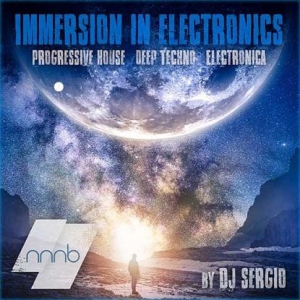 VA -  2019 Immersion In Electronics Vol.1