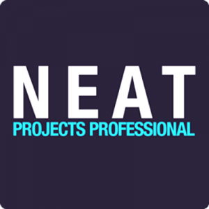 Franzis NEAT Projects Pro 1.13.02713 RePack (& Portable) by TryRooM [Ru/En]