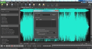 WavePad Sound Editor Masters Edition 8.44 [En]