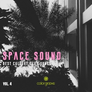 VA - Space Sound Vol. 4 (Best Culture Club Songs)