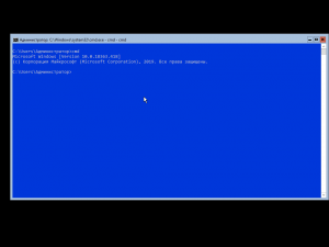 Windows Server, Version 1909 (10.0.18363.418) -    Microsoft MSDN [En/Ru]