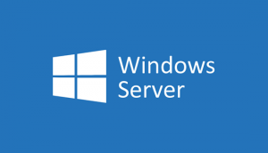 Windows Server, Version 1909 (10.0.18363.418) -    Microsoft MSDN [En/Ru]