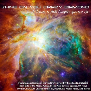 VA - Shine On You Crazy Diamond A Tribute To Pink Floyd's Greatest Hits
