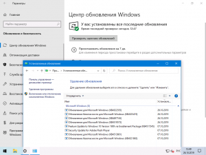 Windows 10 (v1909) x64 HSL/PRO by KulHunter v6 (esd) [Ru]