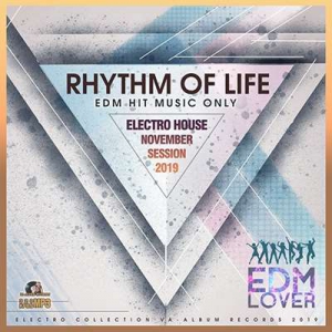 VA - Rhythm Of Life: Electro House Session