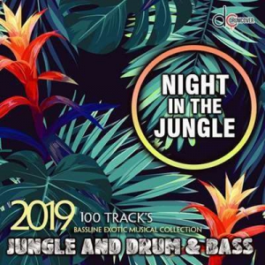 VA - Night In The Jungle