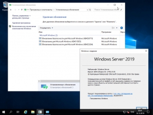 Windows Server 2019 LTSC 1809 (build 17763.914) updated_December_2019 -    Microsoft MSDN [Ru/En]