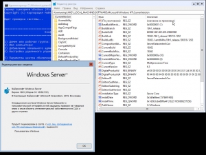 Windows Server, Version 1903 (10.0.18362.535) -    Microsoft MSDN [En/Ru]