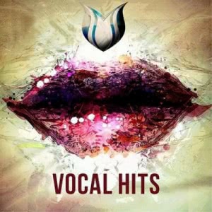  VA - Vocal Hits Vol.5