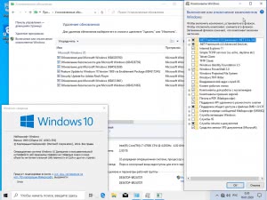 Windows 10 (66in2) Sergei Strelec x86/x64 1909 (build 18363.657) [Ru]