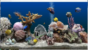 SereneScreen Marine Aquarium 3.3.6381 RePack (& Portable) by elchupacabra [Ru/En]