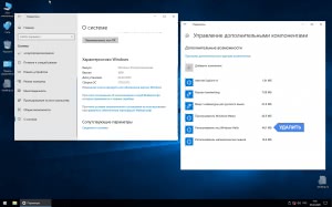 Windows 10 Enterprise 1809 Lite build 17763.973 x64 by WolfEywa (01.2020) [Ru/En]