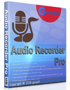 GiliSoft Audio Recorder Pro 11.1.0 RePack (& Portable) by TryRooM [Ru/En]