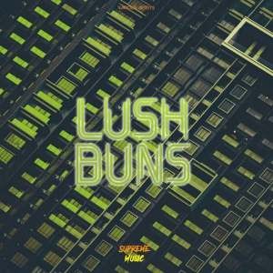 VA - Lush Buns