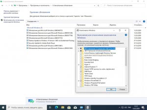 Windows 10 (60in2) Sergei Strelec x86/x64 1909 (build 18363.836) [Ru]