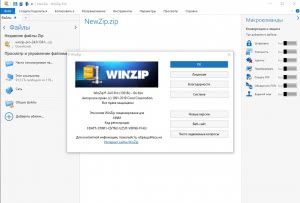 WinZip Pro 24.0 Build 13618 (x86-x64) [Ru]