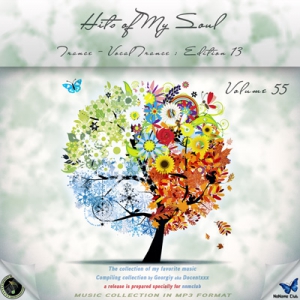   VA - Hits of My Soul Vol. 55