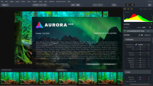 Skylum Aurora HDR 2019 1.0.0.2550.1 (x64) RePack (& Portable) by elchupakabra [Multi]