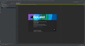 JetBrains GoLand 2020.1 [En]
