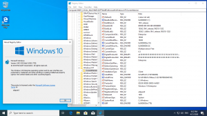 Microsoft Windows 10.0.18362.1256 Version 1903 (Updated December 2020) -    Microsoft MSDN [En]