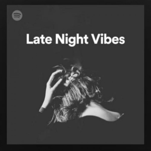  VA - Late Night Vibes Playlist Spotify