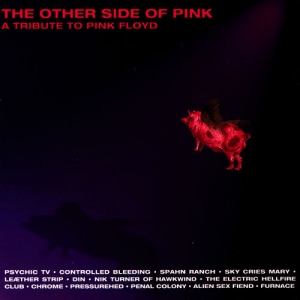 VA - The Other Side Of Pink - A Tribute To Pink Floyd